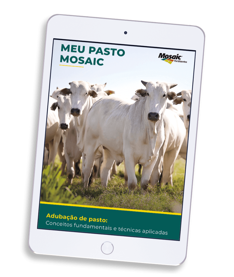 e-book-adubacao-pasto-large e-book-adubacao-pasto-large